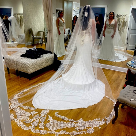Stunning Catedral lace veil main image 6